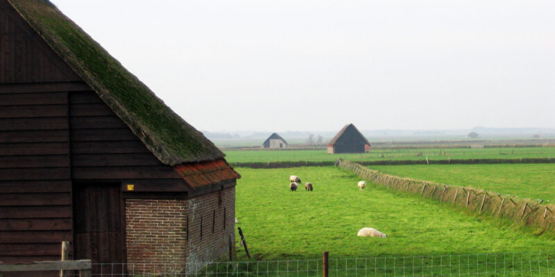 schapenboeten